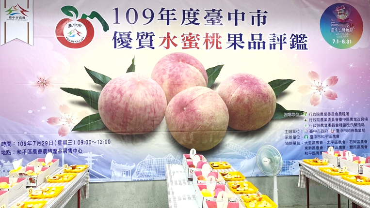中市和平區水蜜桃評鑑　林啟政奪冠